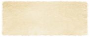 vidaXL - Imitatie schapenvacht vloerkleed TAFALLA crèmekleurig polyester 80 x 200 cm