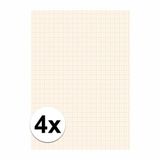 Merkloos / Sans marque A4 papier met millimeter blokken - 4x - 25 vellen - 80 gram - blokjes papier
