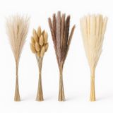 Merkloos Relaxdays Pampas Pluimen - 144-delige set - 41 cm - Beige/Lichtbruin/Wit