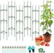 Wan GmbH Support climatique pour tomates et plantes grimpantes | Support végétal réglable de 120 cm | Support de tomates et treillis