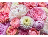 Komar Colours Fotobehang Vibrant Spring - 368 x 254 CM