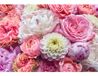 Komar Colours Fotobehang Vibrant Spring - 368 x 254 CM