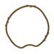 Gasket, Icecat Gasket, thermostat