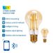 Buitenlamp kaneel met E27-fitting in antiek goud