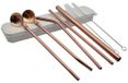 Icecat Set de pailles avec cuillères et brosses - 7 pièces