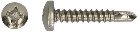 pgb-Europe Skapa Global B.V. Zelfborende Plaatschroeven - Phillips 2 Cilinderkop - 4,2 x 19mm - Voldraad - RVS (200 stuks)