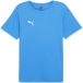Puma Jersey TeamRise