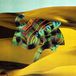 Django Django - Django Django (3 LP) (Limited Edition) (10th Anniversary Edition)