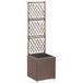Maison Exclusive - Jardinière surélevée avec treillis, 1 pot, 30 x 30 x 107 cm, rotin synthétique marron