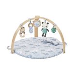 Ingenuity Activity gym cozy spot march omkeerbaar