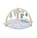 Ingenuity Activity gym cozy spot march omkeerbaar