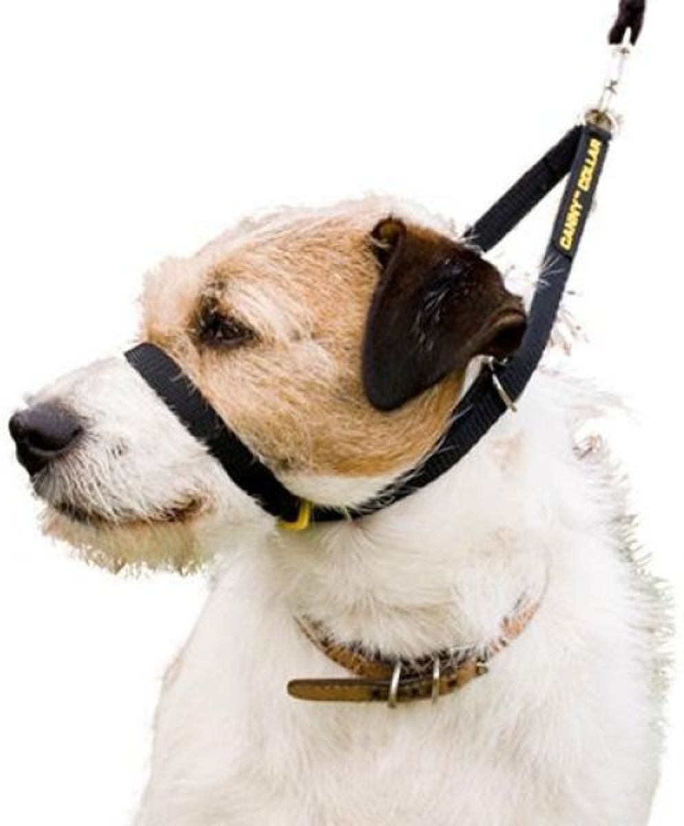 Canny Collar Zwart NR 4 - 38-43 cm