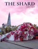 Picture book of The Shard: A Visual Journey