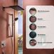Hansgrohe Raindance Alive Q - Hoofddouche, 21x34 cm, 2 stralen, mat wit