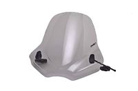 Puig 6862H voorruit Touring II getint