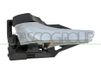 PRASCO Türgriff TY2918602 vorne links | Compatibel met: TOYOTA RAV 4 IV