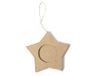 Papieren maché hanger Ster 9x9 cm. 3 mm.