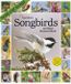 Audubon Songbirds and Other Backyard Birds Picture-A-Day® Wall Calendar 2027