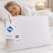 Zavelo Mimi Coussin enfant - Coussin enfant en bas âge à partir de 2 ans - 60x70 cm - Version luxe - Coton - Couvre-matelas épais matelassé
