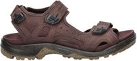Ecco Offroad heren sandaal - Expresso - Maat 48
