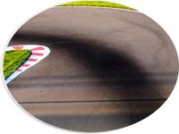 Merkloos / Sans marque PVC Schuimplaat Ovaal - Bocht in Kartbaan - 28x21 cm - Forex - Groen/Grijs - Landelijk