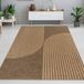 Tapis d'intérieur et d'extérieur avec un motif géométrique en arc de cercle en brun beige, dimensions : 60 x 90 cm