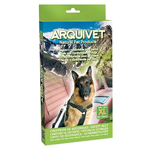 Arquivet 8435117812932 Veiligheidsgordel TEG 80