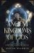 Ancient Libri GmbH Light and Shadow of the Fae- Ancient Kingdoms of Ljós Paperback