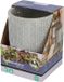 Buzzy House Plants Hangende Plantpot met Coleus zaden