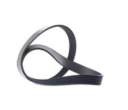 Metzger 6PK894 Dayco V-riem