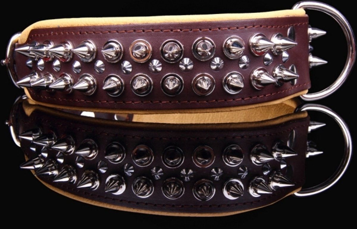 Dog's Companion Leren Halsband - met spikes - 60-73 cm x 50 mm - Bruin/Naturel
