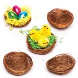 Baker Ross mini-vogelnesten voor pluizige kuikens en paasdecoraties (15 stuks)
