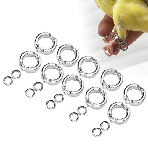 Gaeirt (10 stuks) Outdoor Parrot Opening Voetring voor Parkieten Lovebird (number 6) - 9028770584965