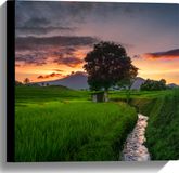 Merkloos / Sans marque Canvas - Sloot door Natuurgebied van Indonesische Rijstvelden - 40x40 cm Foto op Canvas Schilderij