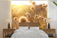 Nr1Wallpaper Fotobehang Planten - Natuur - Bloemen - Zon - Horizon - 240x240 cm - Vliesbehang