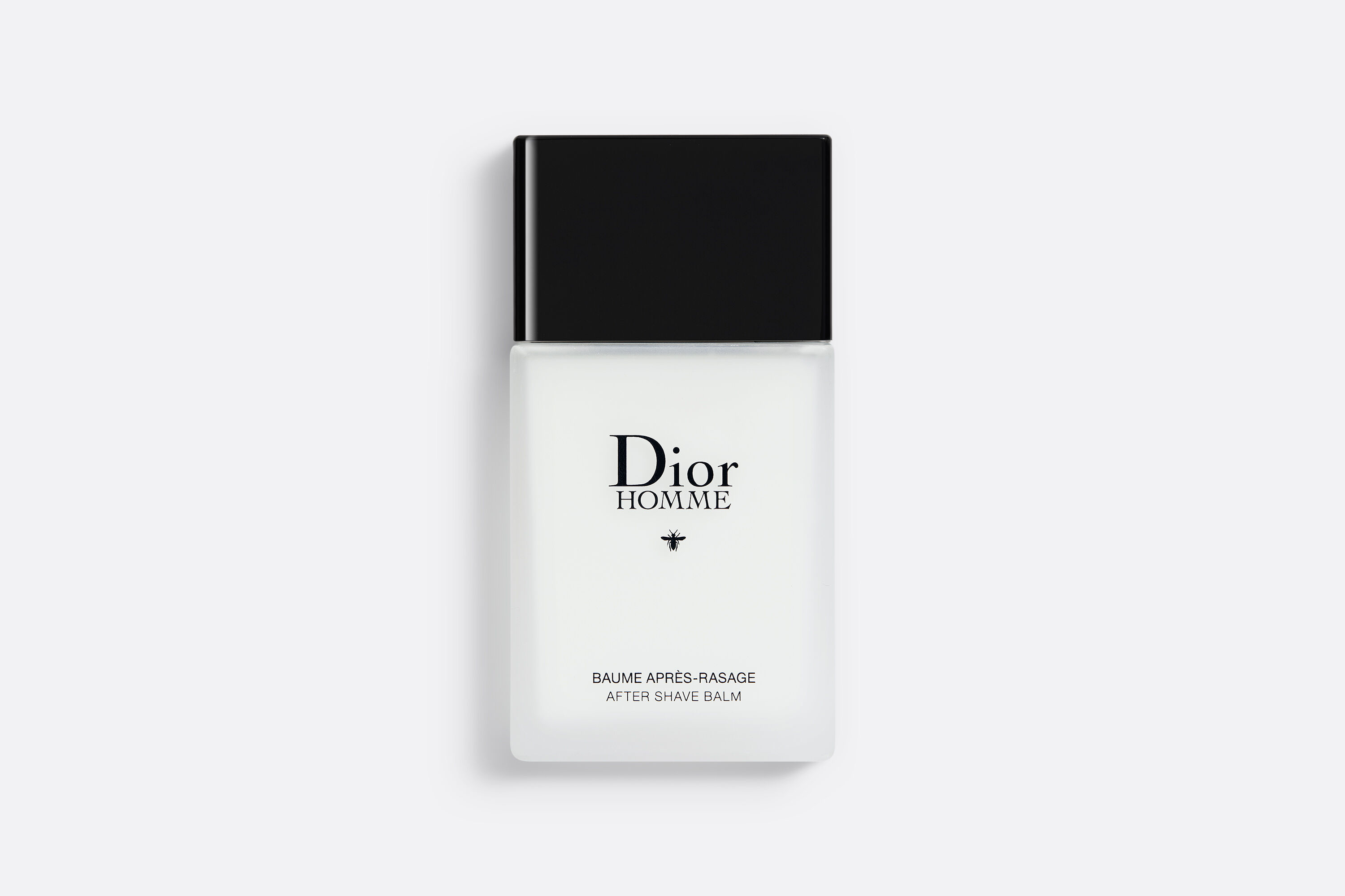 Dior Homme