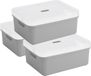 Sunware opbergbox - 3x stuks - 24 liter - lichtgrijs - kunststof - transparante deksel - 45x35x18 cm - Sigma serie