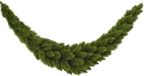 Triumph Tree Camden Guirlande - Kerstversiering met Volle Dennentakken voor Binnen - Kerstslingers om op te Hangen - Versieren met Lampjes voor Binnen - 180 x 38 cm - Groen