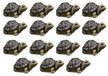 Merkloos Elzusha - Set van 15 Hars Schildpad Tuinornamenten voor Binnen en Buiten