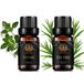 Aphrosmile Aromathérapie Huile Essentielle d'Arbre à Thé - 2 x 10 ml - Thym & Arbre à Thé