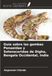 Guía Ediciones Nuestro Conocimiento Guía sobre las gambas Penaeidae y Solenoceridae de Digha, Bengala Occidental, India Paperback