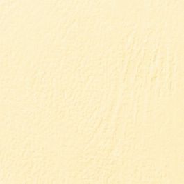 GBC LeatherGrain Bindomslagen 250 grams A4 Ivoor (100)