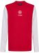 Hummel Dbu 26 Fan Red-White Tee Ls Kids