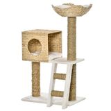 PawHut Krabpaal voor katten, hoogte 100,5 cm, met kussens en ladder, activiteitencentrum van lisdodde