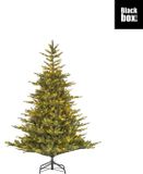 Black box Edelman B.V. Grimshaw x-mas tree led green 260L TIPS 1564 with timer & dimmer - h185xd132cm