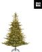 Edelman B.V. Grimshaw sapin de Noël led vert 260L TIPS 1564 avec minuterie et variateur - h185 x P132cm