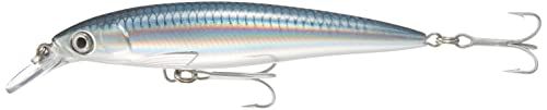 Rapala X-Rap Saltwater - 12cm/22g - Baitfish