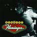 Warner Music Bunbury Flamingos