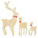 DWVO Set van 3 led-rendieren verlicht, kerstdecoratie, draadvlechtwerk