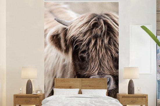 Nr1Wallpaper Behang - Fotobehang Schotse Hooglander - Dieren - Hoorn - Breedte 225 cm x hoogte 350 cm